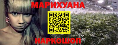 хмурый Новозыбков