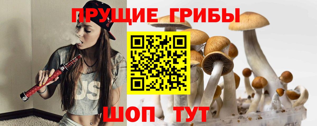 Сорочинск  Псилоцибиновые грибы прущие грибы  Псилоцибиновые грибы Magic Shrooms  даркнет сайт  Вход с VPN 